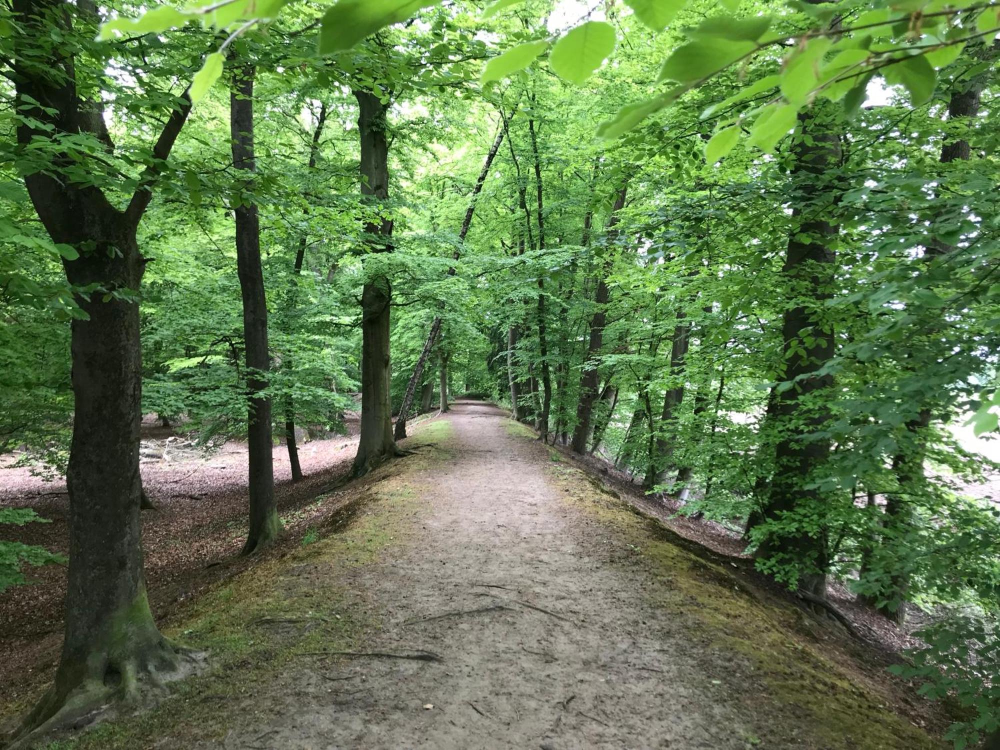 B&B 'Het Gripshuis' Vught Esterno foto