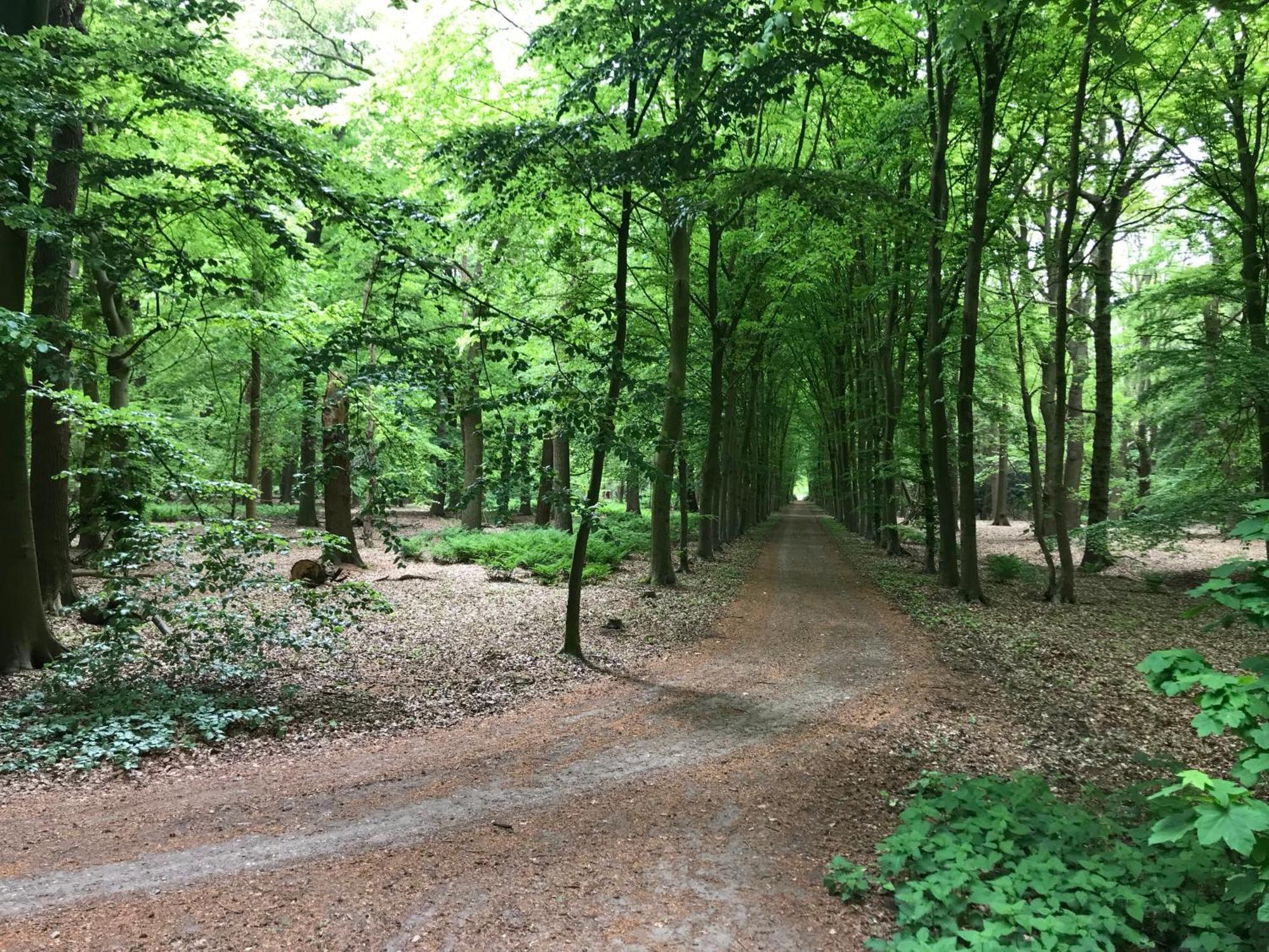 B&B 'Het Gripshuis' Vught Esterno foto